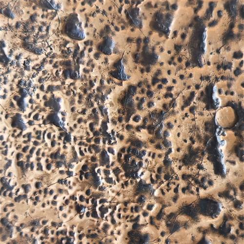 Lunar Coaster Natural Bronze