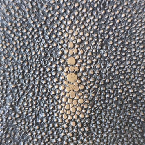Shagreen Coaster