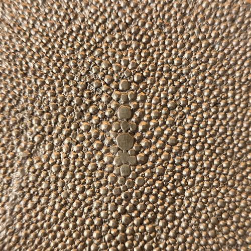 Shagreen Coaster